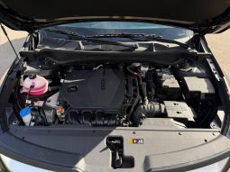 
KIA SPORTAGE EX, 2022 full									
