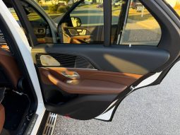 
MERCEDES-BENZ GLE 450 4MATIC, 2024 full									