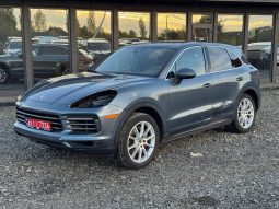 PORSCHE CAYENNE, 2019 (2018)