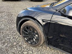
TESLA MODEL Y LR DM, 2021 full									