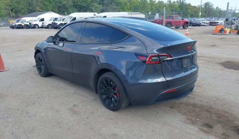
TESLA MODEL Y LR DM, 2022 full									