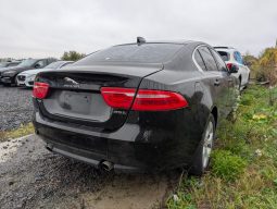 JAGUAR XE, 2018 (2017)