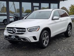 MERCEDES-BENZ GLC 300, 2020 (2019)