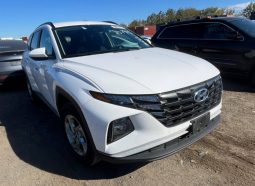 
HYUNDAI TUCSON SEL, 2024 full									