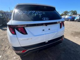 HYUNDAI TUCSON SEL, 2024